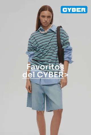 favoritos-desktop-cl.png